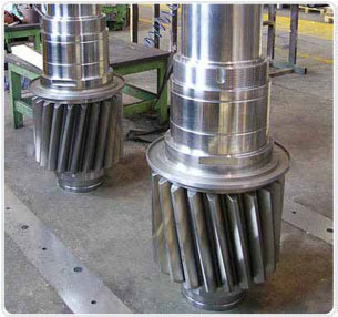 Pinion Shafts